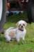 img_8440_small.jpg