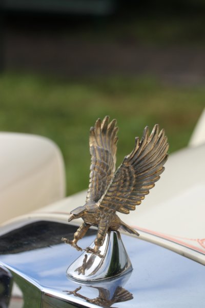 img_8527.jpg