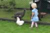 img_9514_small.jpg