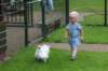 img_9524_small.jpg