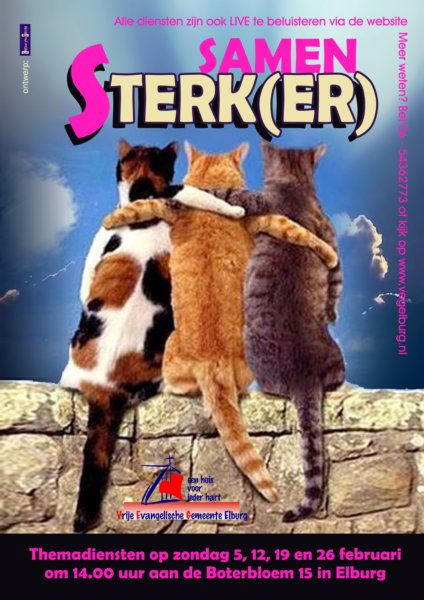 februari2012cats.jpg